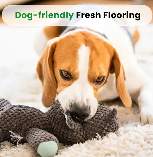 Dog friendly fresh flooring