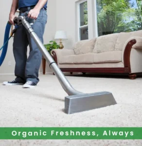carpet cleaning