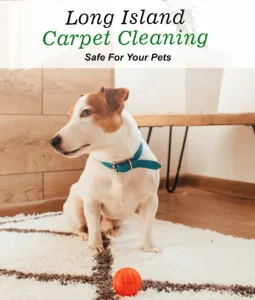 Elevate Your Space With In-Home Cleaning Excellence