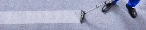Long Island Carpet Cleaning Banner About Us