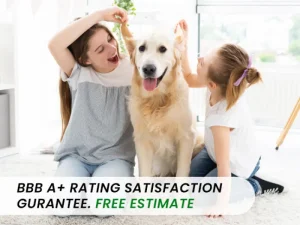 Rug Cleaning Long Island