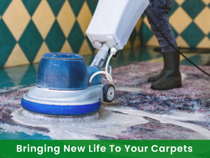 Rug Cleaning