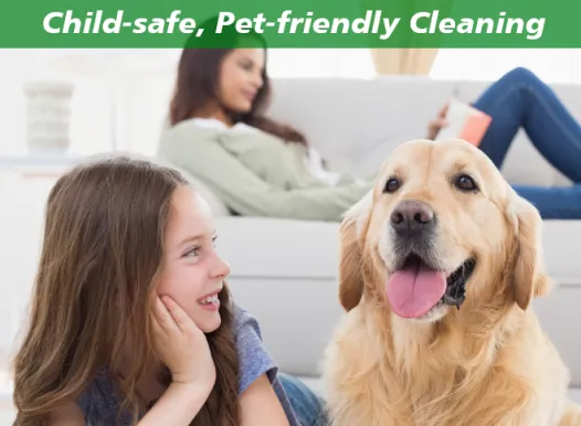 Pet Safe Cleaning Banner