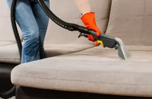 Upholstery Cleaning