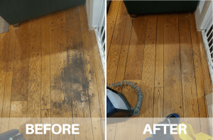 wood floor cleaning near me