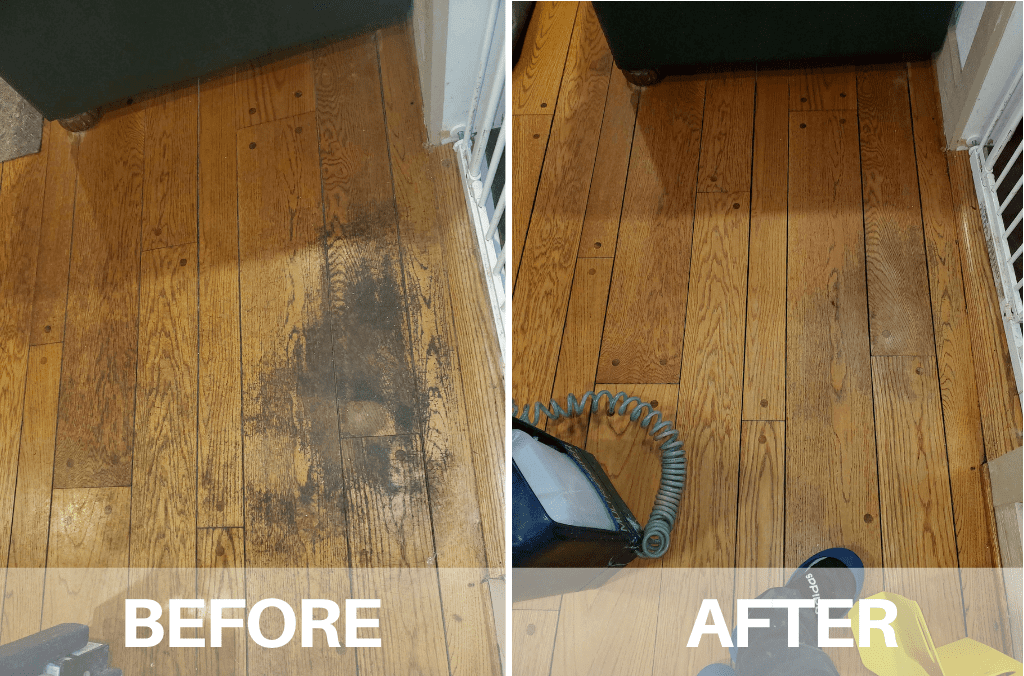wood floor cleaning near me