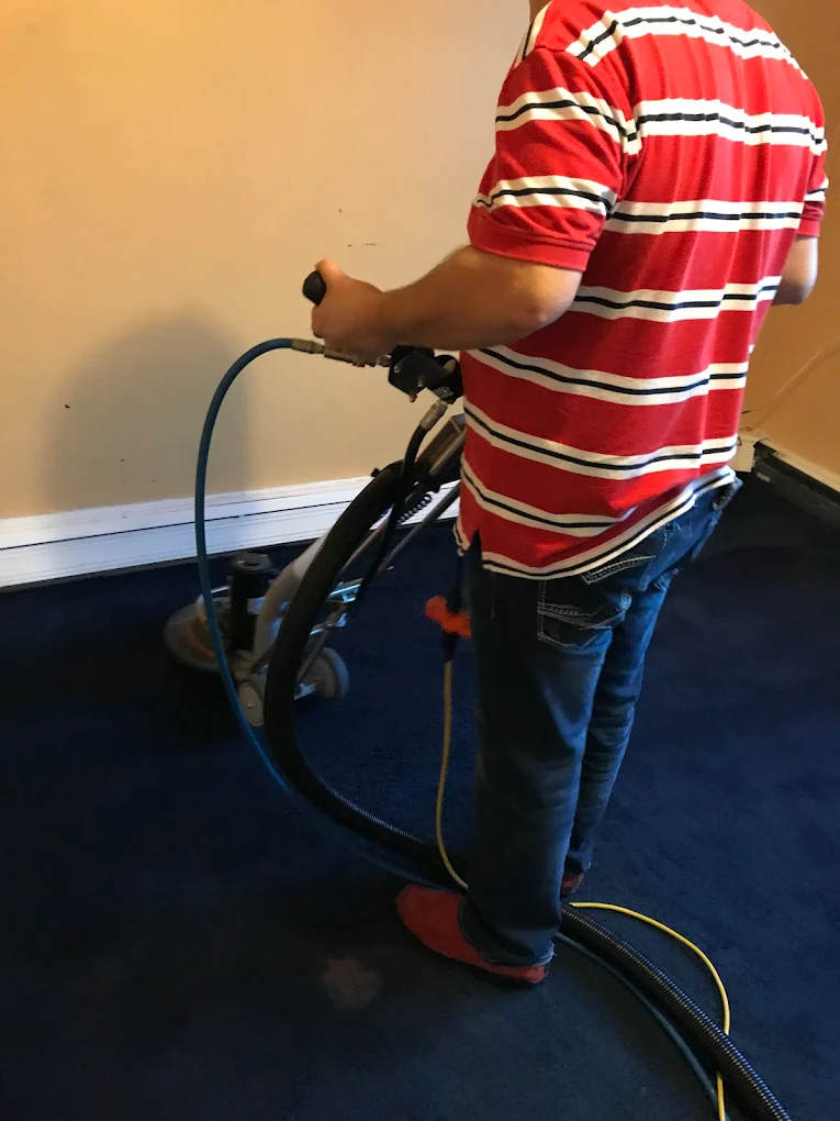 Carpet Cleaning