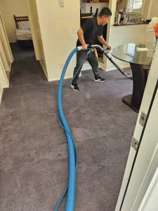 Deep cleaning a carpeted room on Long Island