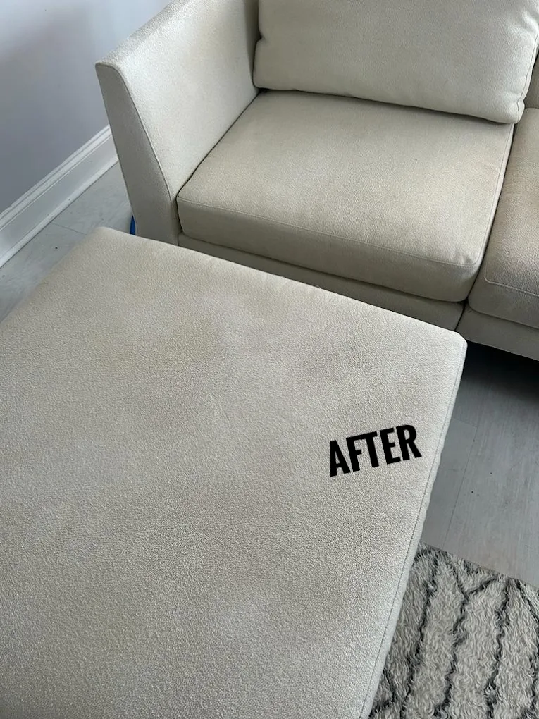 Sofa cushion after cleaning by Long Island Carpet Cleaning
