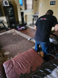 Carpet cleaning in a family room on Long Island