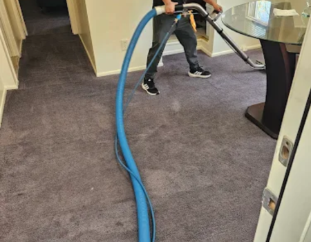 carpet cleaning long island, ny